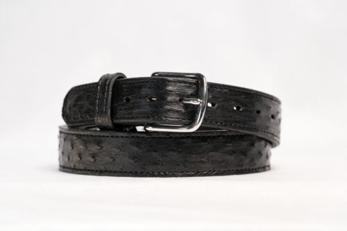Ostrich Black Belt