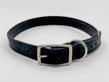 Black Leather Collar