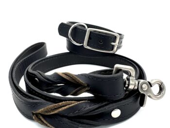 Black Leather Leash & Collar Set