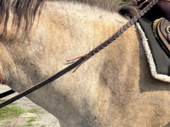 Braided Leather Reigns