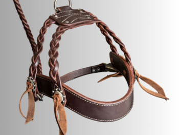 Braided Leather Dog Harness & Lead Set