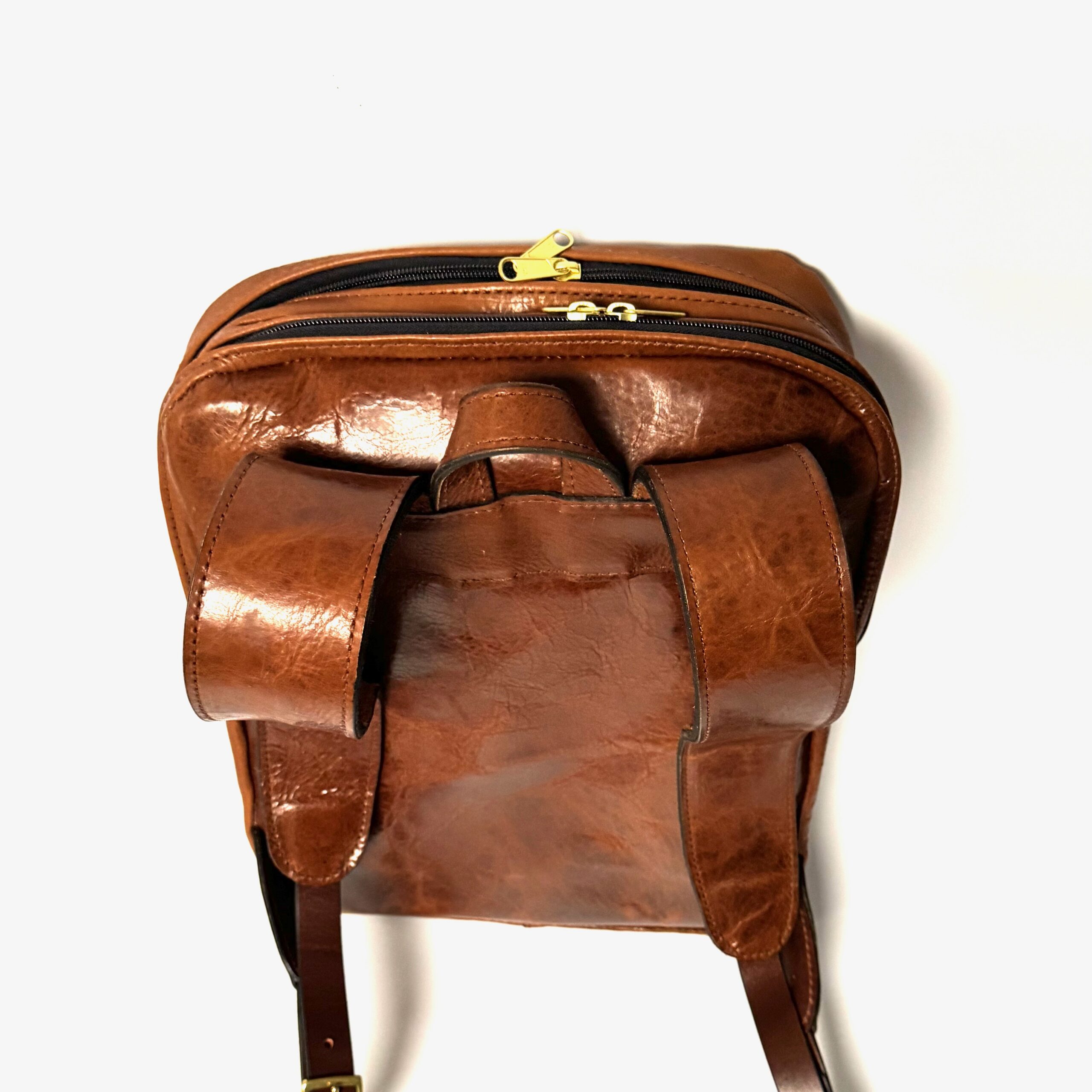American Bison leather backpack shown from behind